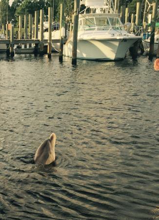 Port Saint Joe Marina